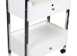 XE ĐẨY SPA HZ-938